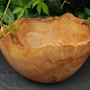 XXL Olive Wood Salad Bowl 23cm WOOD UNIQUE image 4