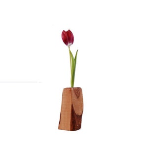 Jolie Vase rustique tronc en bois olivier H.17cm image 1