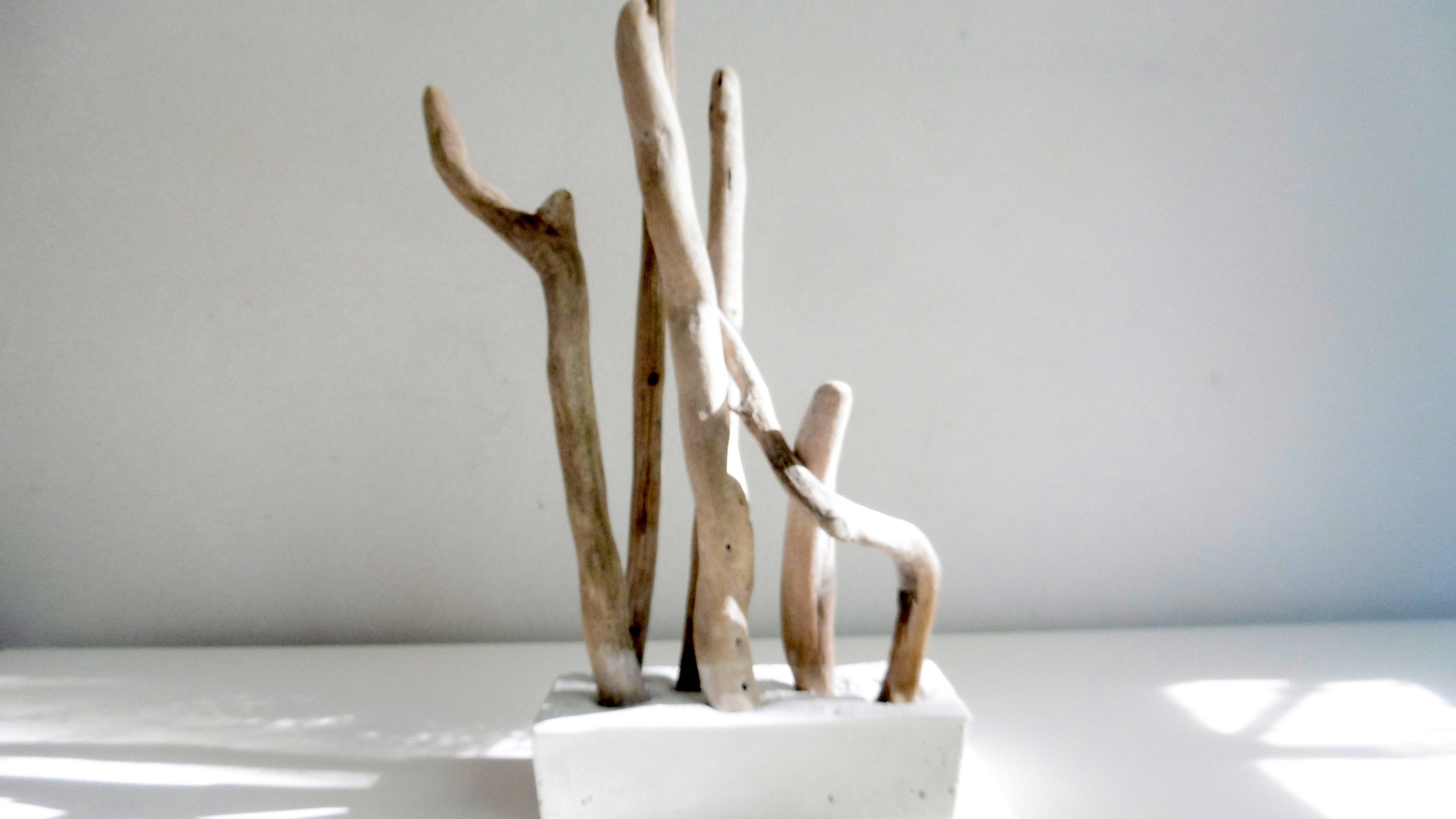 Série Alliances - Composition Béton Blanc et Bois Flotté -