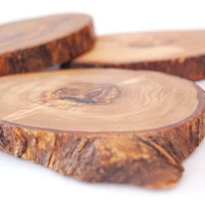 cup coaster Cutting board Olive wood