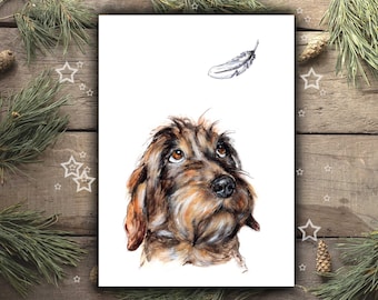 ROUGH-HAIRED DACHSHUND art print, dachshund christmas gift, dachshund poster