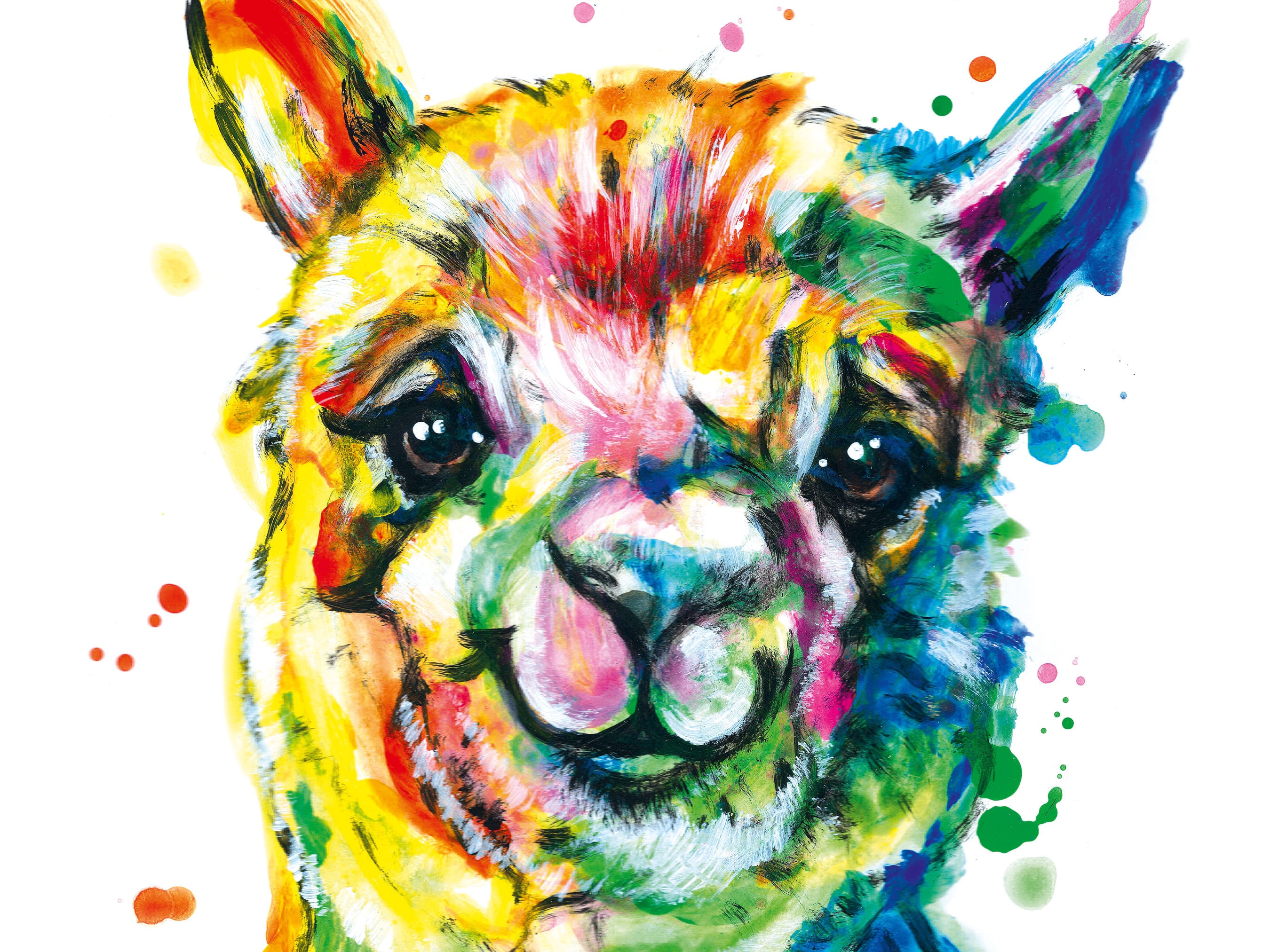  ALPAKA Kunst Druck Poster Print vom handgemalten Aquarell Bild, buntes 