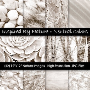 Texturas Neutras da Natureza - Imagens de Fundo Neutro - Papel Digital Inspirado na Natureza - Uso Comercial - 300 dpi jpg
