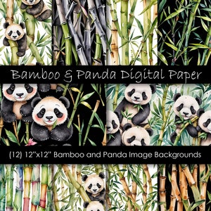 May include: Twelve 12-inch by 12-inch digital paper designs featuring watercolor illustrations of pandas and bamboo. The designs include black and white pandas, green bamboo stalks, and a black background.