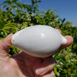 May include: A smooth, white, oval-shaped object with a glossy finish. The object is held in a hand against a backdrop of green foliage and a clear blue sky. The object's shape resembles a lemon.