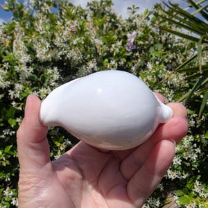 May include: A smooth, white ceramic object with a rounded shape, held in a hand. The object has a glossy finish and a small spout-like protrusion. The background features green foliage and a blue sky.