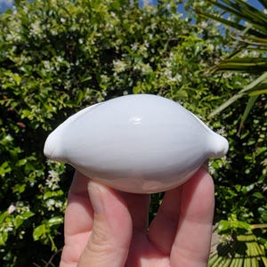 May include: A white, ceramic, shell-shaped object is held in a hand. The shell has a smooth, glossy surface and a rounded shape with two small, pointed ends. The background features green foliage and sunlight.
