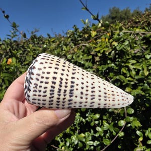 May include: A rustic wooden sign with the text "Welcome to our home" in white lettering. The sign features a distressed finish and a simple, inviting design, perfect for entryway decor.