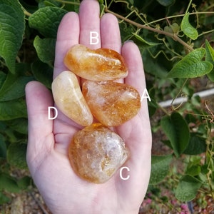 1 Citrine Tumbled Stone - Pick Your Stone