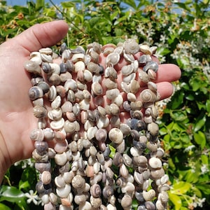 May include: Strands of small, natural seashells in shades of beige, gray, and brown are held in a hand. The shells are strung together, creating a cascading effect. The background features green foliage and white flowers.