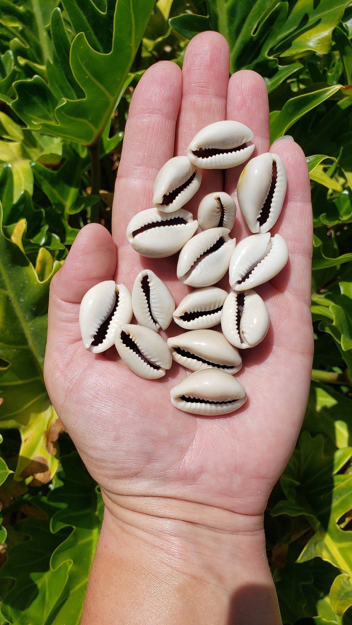 0.75-1.25