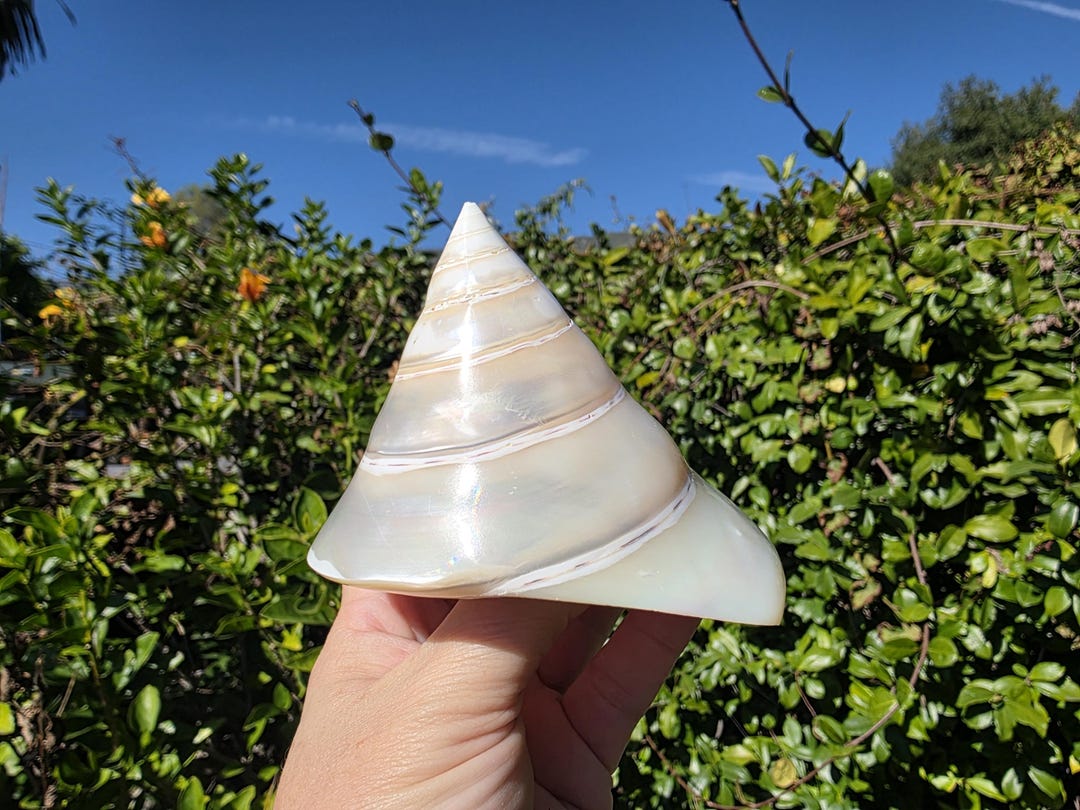 Troca Shell Part 3.875