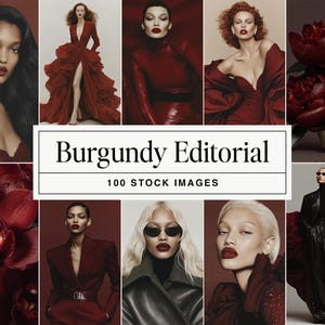 Foto stock di estetica bordeaux: immagini editoriali di bellezza di lusso per il branding di Instagram e contenuti sui social media, download digitale JPG