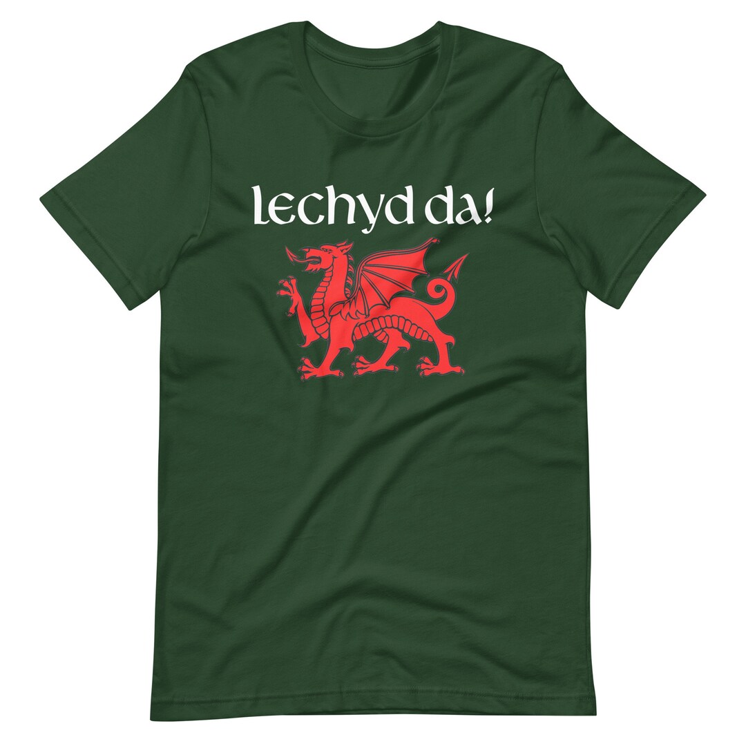 Cheers in Welsh Shirt Red Dragon of Wales Tee Lechyd Da Apparel Etsy