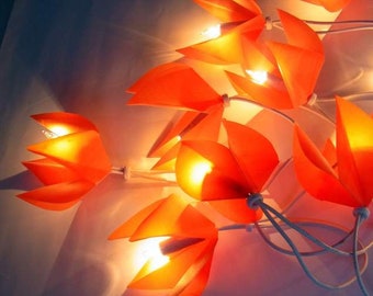 Orange Blossom String lights