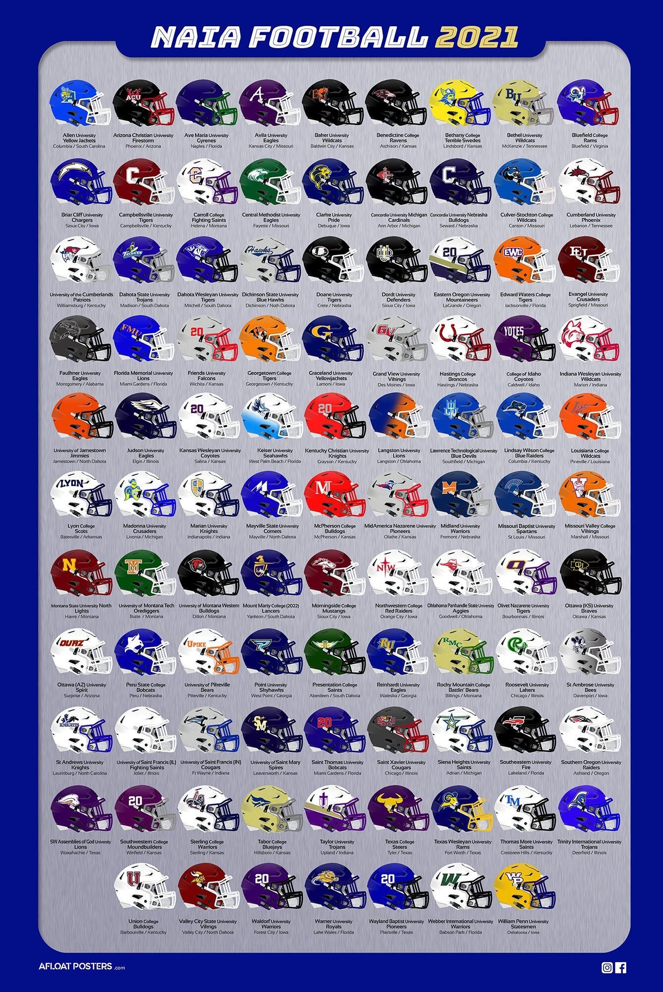 Naia 24x36 Football Helmet Guide Etsy
