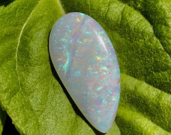May include: A teardrop-shaped opal gemstone with a white base and iridescent blue and green flashes. The opal is resting on a green leaf.