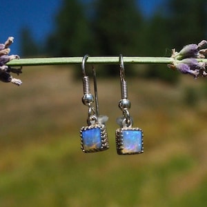 Sterling Blue Australian Opal Earrings, 7 mm
