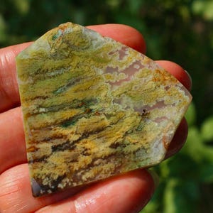 Puede incluir: Una piedra pulida de forma irregular con un patrón único de tonos amarillos, verdes y marrones. La piedra se sostiene en una mano, mostrando sus colores y texturas naturales. La superficie de la piedra tiene una apariencia en capas, con detalles intrincados.