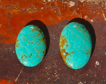 Cabochon turquoise n°8 Nevada