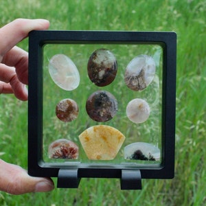 May include: A black display case holding nine polished gemstones of various shapes and colors. The gemstones include oval, round, and irregular shapes, with colors ranging from clear to brown and yellow. The case is held against a backdrop of green grass.