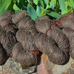 May include: A collection of brown yarn skeins, some with red string accents, arranged on a textured surface.