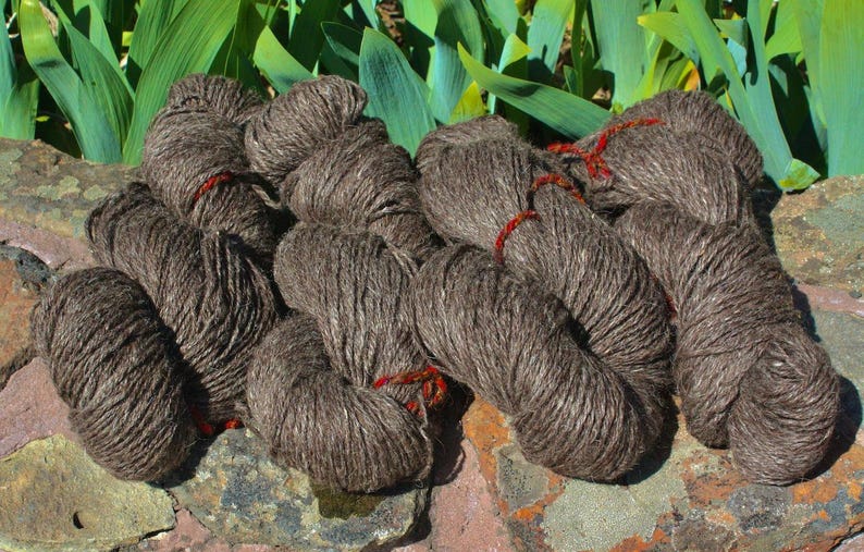 May include: A collection of brown yarn skeins, some with red string accents, arranged on a textured surface.
