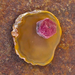 May include: A deep red gemstone sits on a yellow agate slice. The agate is smooth and polished, with a natural, organic shape.