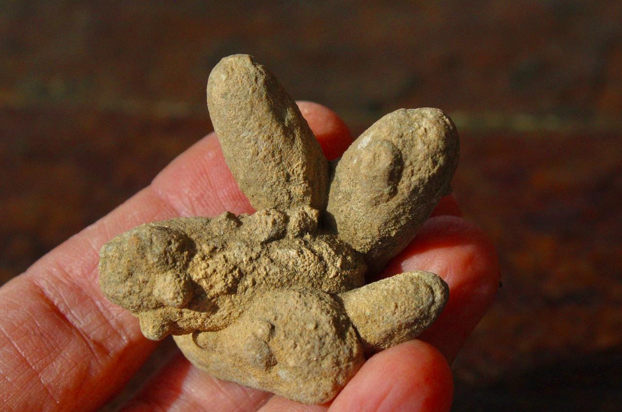Sand Calcite Crystal Collection, Rattlesnake Butte, South Dakota
