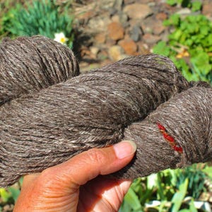 May include: A skein of brown yarn with red and white thread accents. The yarn is soft and fluffy, and it is perfect for knitting or crocheting.