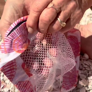 Seashell Collecting Bag | Mesh Beach Shell Bag with Velcro Waist Belt | Sand-Free Shell Pouch | Coastal Gift for Beach Lovers image 2