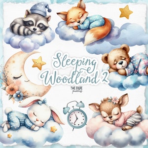 Cute Sleeping Animals Clipart Watercolor, Woodland Animals Clipart, Watercolor Sleeping Animals, Baby Shower Clipart, Nursery Art, Bunny png