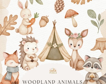 Imágenes prediseñadas de animales del bosque, imágenes prediseñadas de amigos del bosque, bosque lindo, animales lindos, animales bohemios, erizo, imágenes prediseñadas de acuarela, licencia comercial