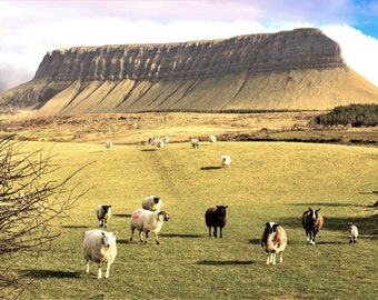 Benbulben Mountain, Ireland Photography, Irish Print, Ireland Landscape, Sheep, County Sligo