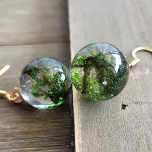 May include: A pair of gold dangle earrings with clear glass orbs containing preserved green moss.
