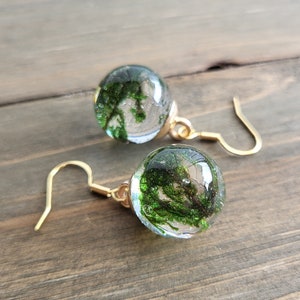 May include: A pair of gold earrings with clear glass orbs containing preserved green moss.