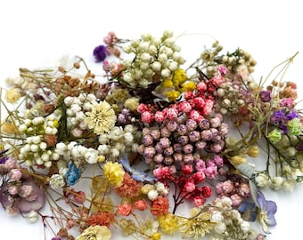 Dried Random Mini Flower Mix | Dry flowers for epoxy resin craft Dry flowers for candles Resin supply Babys breath Gypsophila Ozothamnus