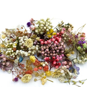Dried Random Mini Flower Mix | Dry flowers for epoxy resin craft Dry flowers for candles Resin supply Babys breath Gypsophila Ozothamnus