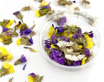 May include: A clear plastic container filled with dried flower petals in shades of yellow, white, and purple. The petals are scattered around the container on a white background.
