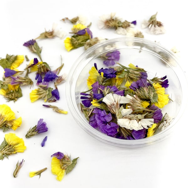 Pressed Multicolor Yellow Purple Dried Limonium | Flowers resin jewelry Florist supply Wedding confetti Colorful flowers Dried Sea Lavender