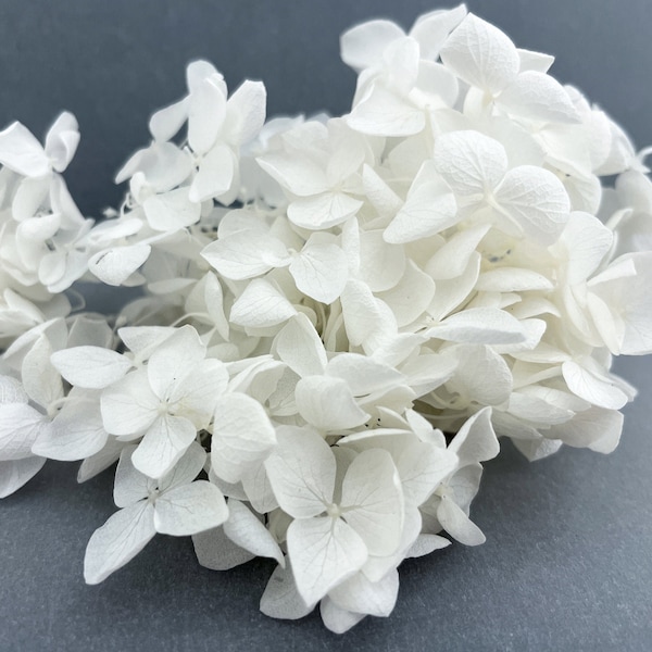 10/20/30 pcs White Hydrangea Branches | Light Mini Dried Flower Plants for resin jewelry Wedding decor Tiny craft set Light White flowers