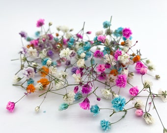 MIX of Multicolour Baby's Breath | Dried Gypsophilia Dried flower Home decor Dried babys breath for resin jewelry Terrarium Soap Candle