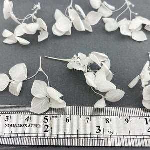 10/20/30 pcs White Hydrangea Branches Light Mini Dried Flower Plants for resin jewelry Wedding decor Tiny craft set Light White flowers 画像 4