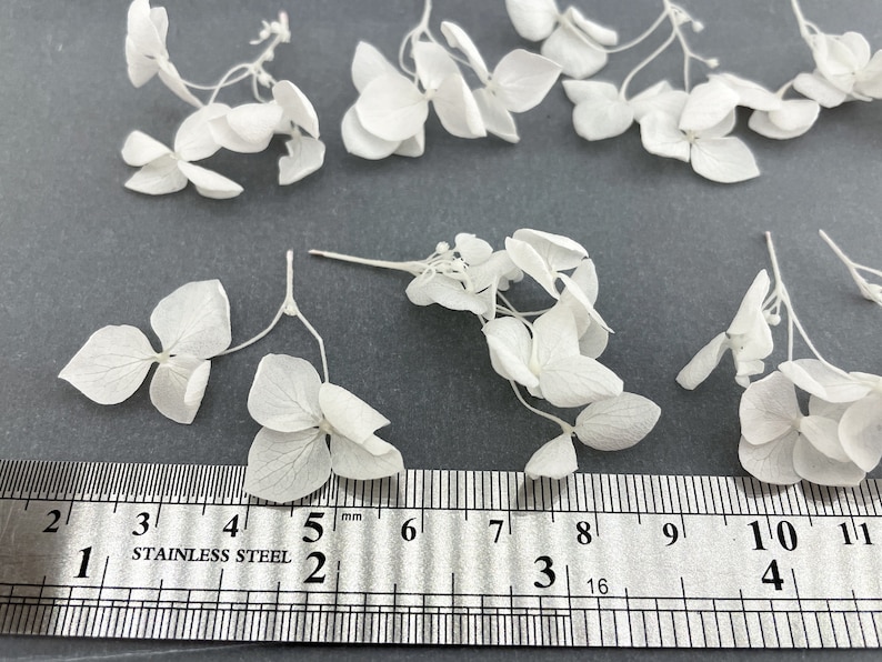 10/20/30 pcs White Hydrangea Branches Light Mini Dried Flower Plants for resin jewelry Wedding decor Tiny craft set Light White flowers 画像 4