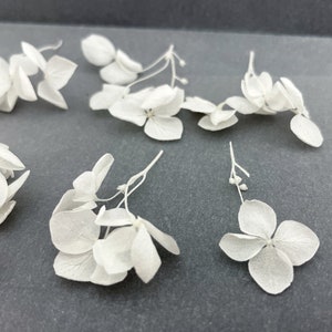 10/20/30 pcs White Hydrangea Branches Light Mini Dried Flower Plants for resin jewelry Wedding decor Tiny craft set Light White flowers 画像 3