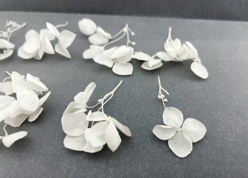 10/20/30 pcs White Hydrangea Branches Light Mini Dried Flower Plants for resin jewelry Wedding decor Tiny craft set Light White flowers 画像 3