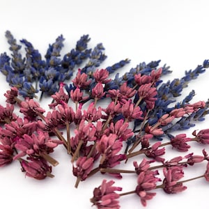 15 pcs Purple Pink Lavender | Dried flowers Resin projects Real flowers Home decor Epoxy resin Tiny flower Dried flower Lavander branches