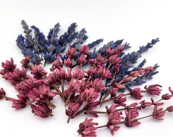 Dried Purple Flowers Etsy