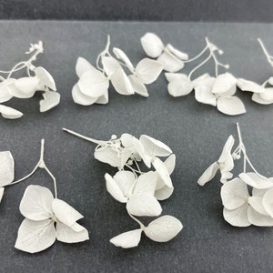 10/20/30 pcs White Hydrangea Branches Light Mini Dried Flower Plants for resin jewelry Wedding decor Tiny craft set Light White flowers 画像 2