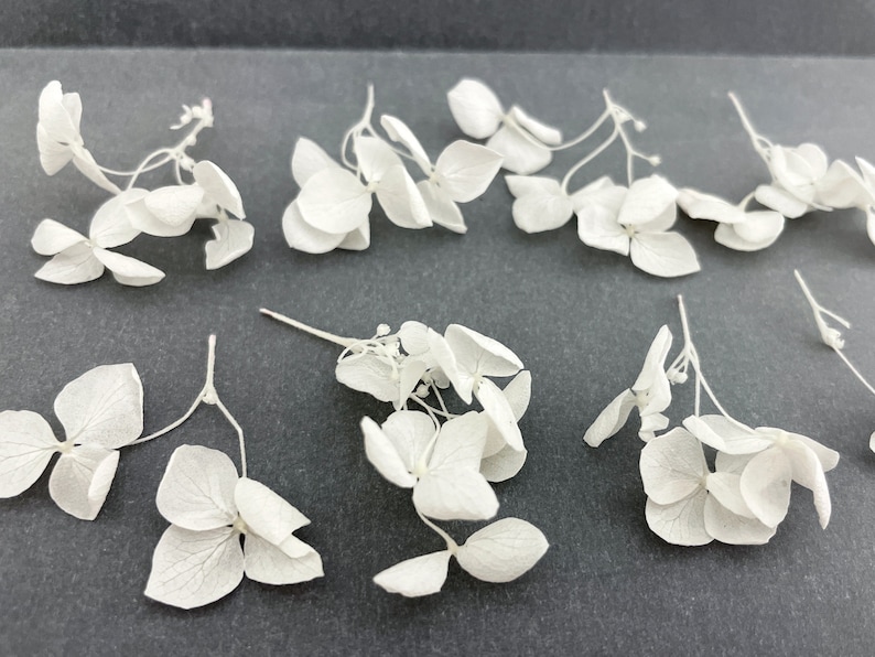 10/20/30 pcs White Hydrangea Branches Light Mini Dried Flower Plants for resin jewelry Wedding decor Tiny craft set Light White flowers 画像 2